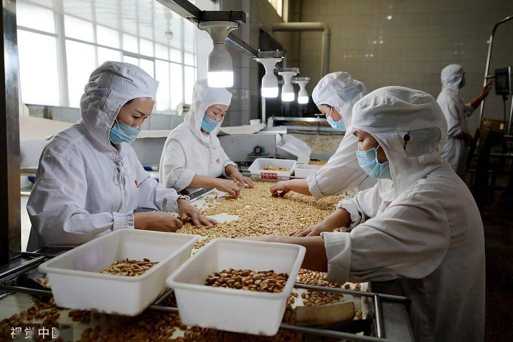 臨沂食品企業 深加工花生，提升農產品附加值，打造國家保健食品生產新標桿